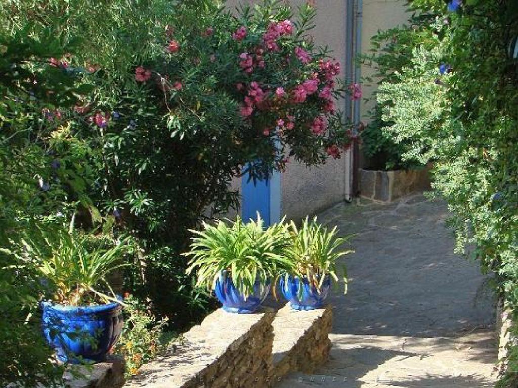 183 D25 BORMES LES MIMOSAS 3_000035.jpg